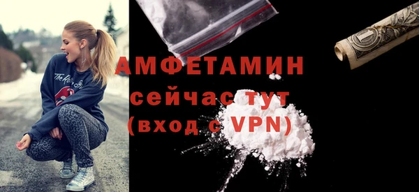ПСИЛОЦИБИНОВЫЕ ГРИБЫ Гусев
