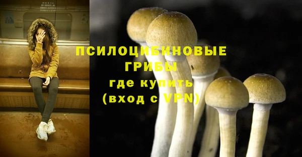 spice Вязьма