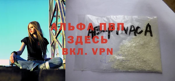 винт Гусь-Хрустальный