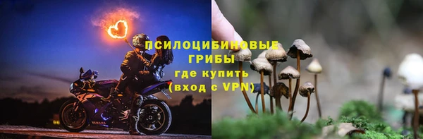 spice Вязьма
