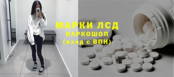 гидра Вяземский