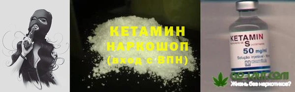 гидра Вяземский