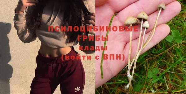 гашиш Вязники