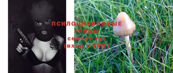 ПСИЛОЦИБИНОВЫЕ ГРИБЫ Гусев