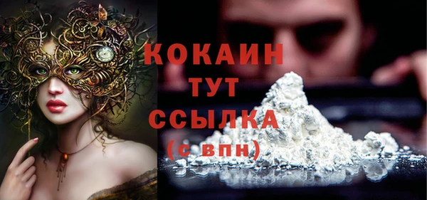 гидра Вяземский