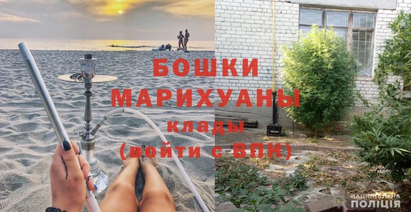 гидра Вяземский