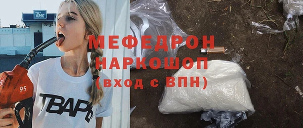 гидра Вяземский
