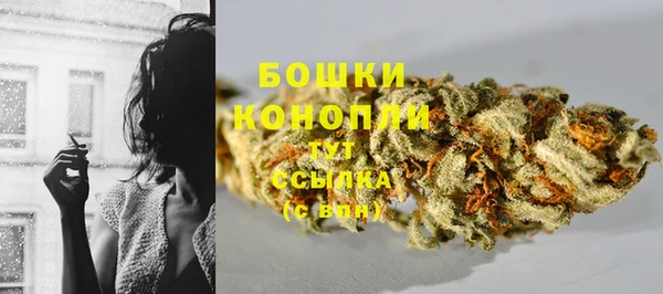 гидра Вяземский